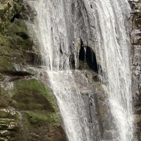 Белый Лотос Gagra Dış mekan fotoğraf