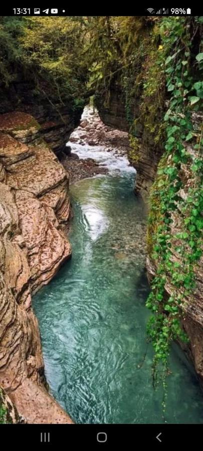 Белый Лотос Gagra Dış mekan fotoğraf