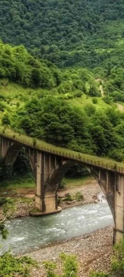 Белый Лотос Gagra Dış mekan fotoğraf