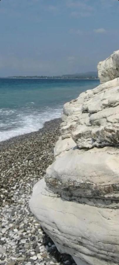 Белый Лотос Gagra Dış mekan fotoğraf