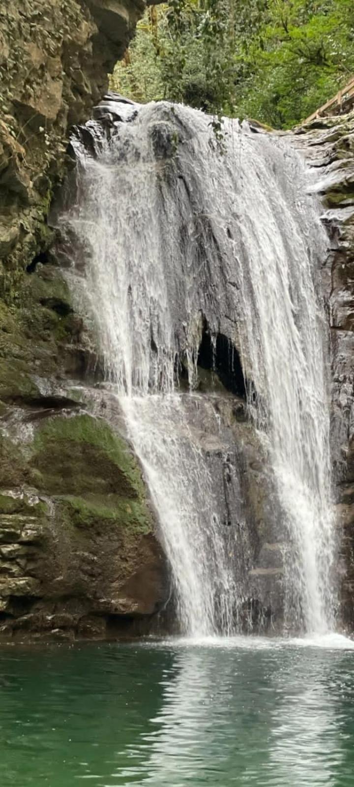 Белый Лотос Gagra Dış mekan fotoğraf