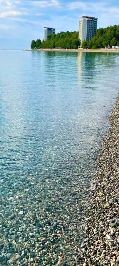 Белый Лотос Gagra Dış mekan fotoğraf